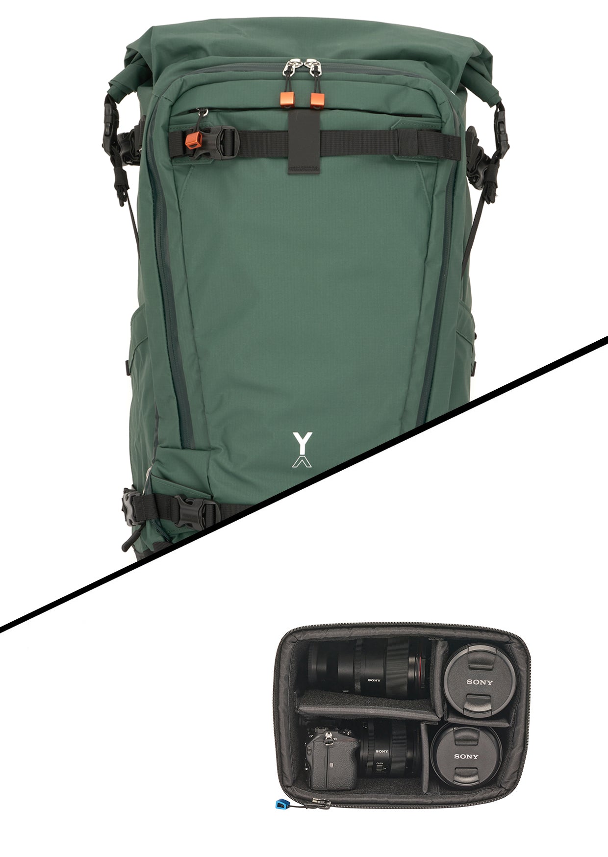 Pine (Green), RCI Small, Group