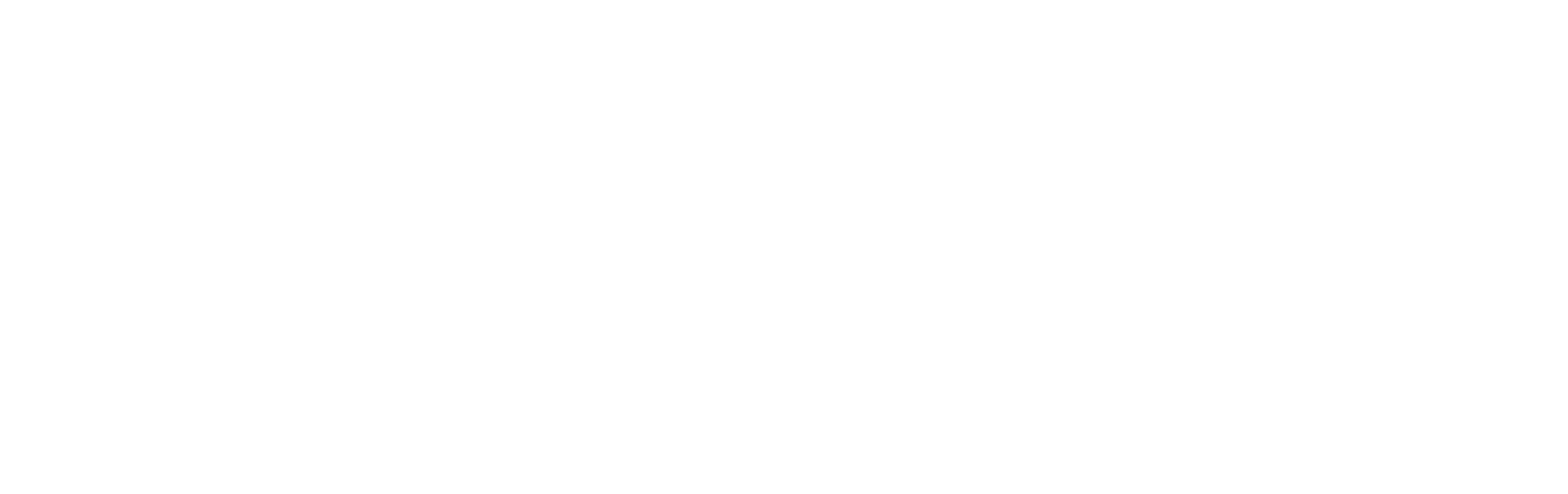 NYA-EVO
